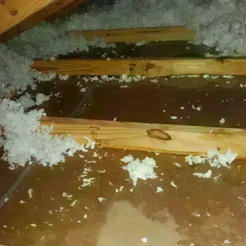 Attic Water Damage in Louisiana, MO