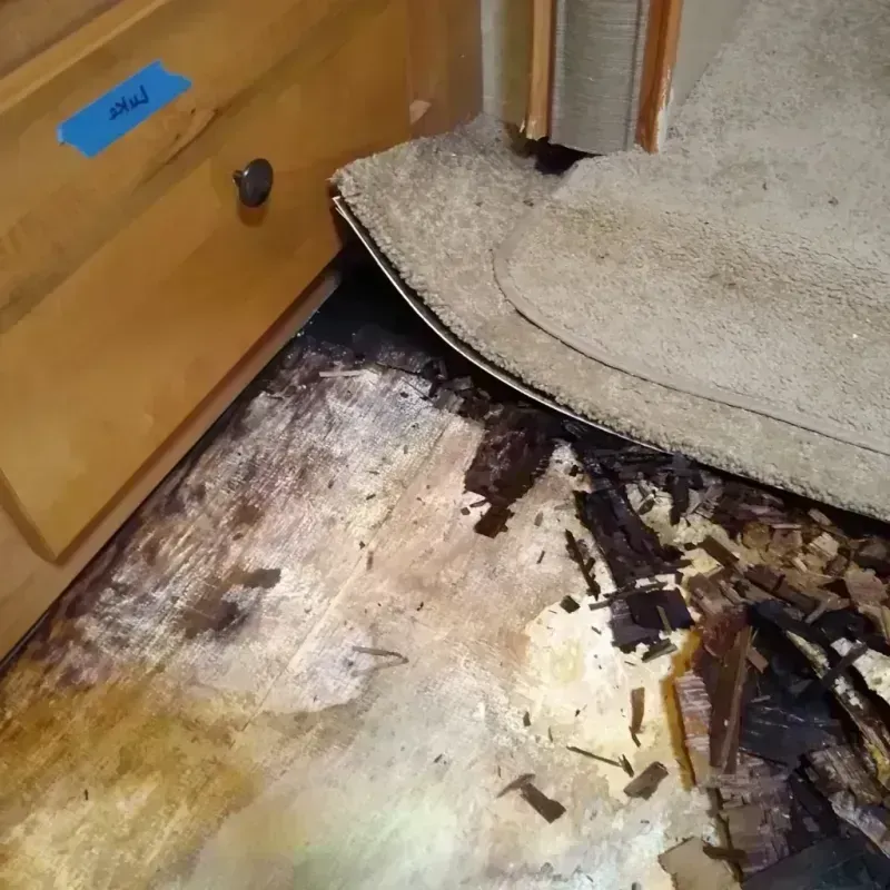 Wood Floor Water Damage in Louisiana, MO